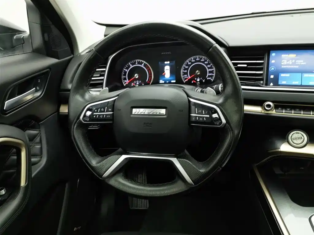 Haval H6 2020 1.5GDIT Automatic Platinum Champion Edition фото 11
