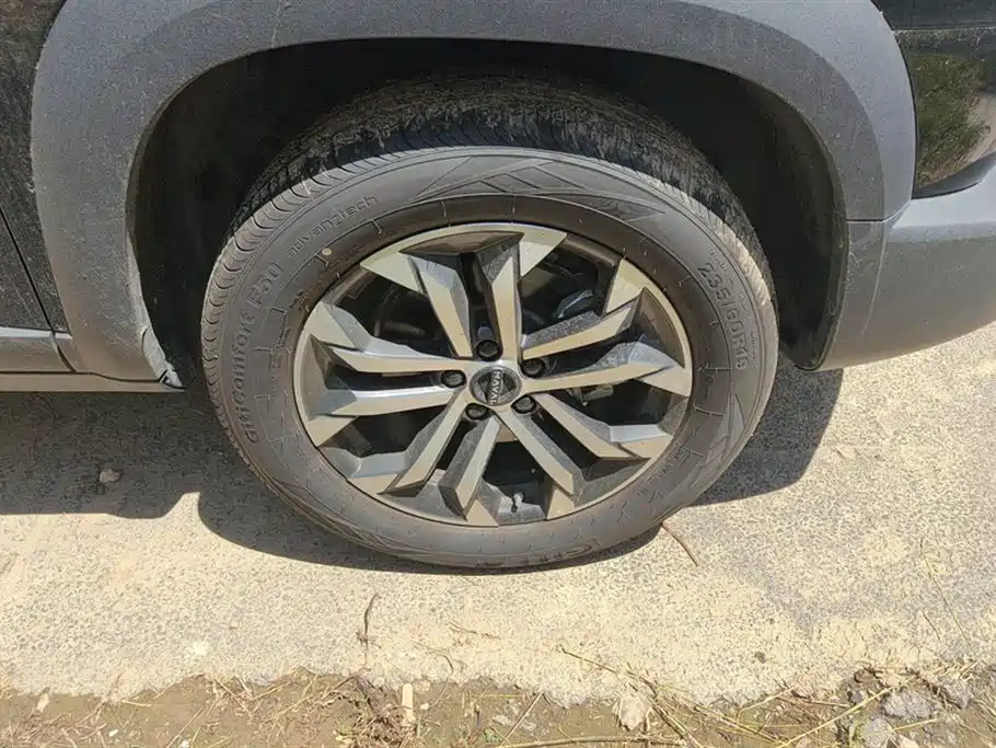 Haval Big Dog 2024 1.5T DCT Border Collie Edition фото 6