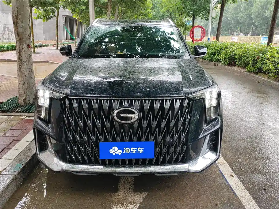 GAC Trumpchi Trumpchi GS8 2022 Dual Engine Series 2.0TM 2WD Premium Edition (6-Seater) фото 2