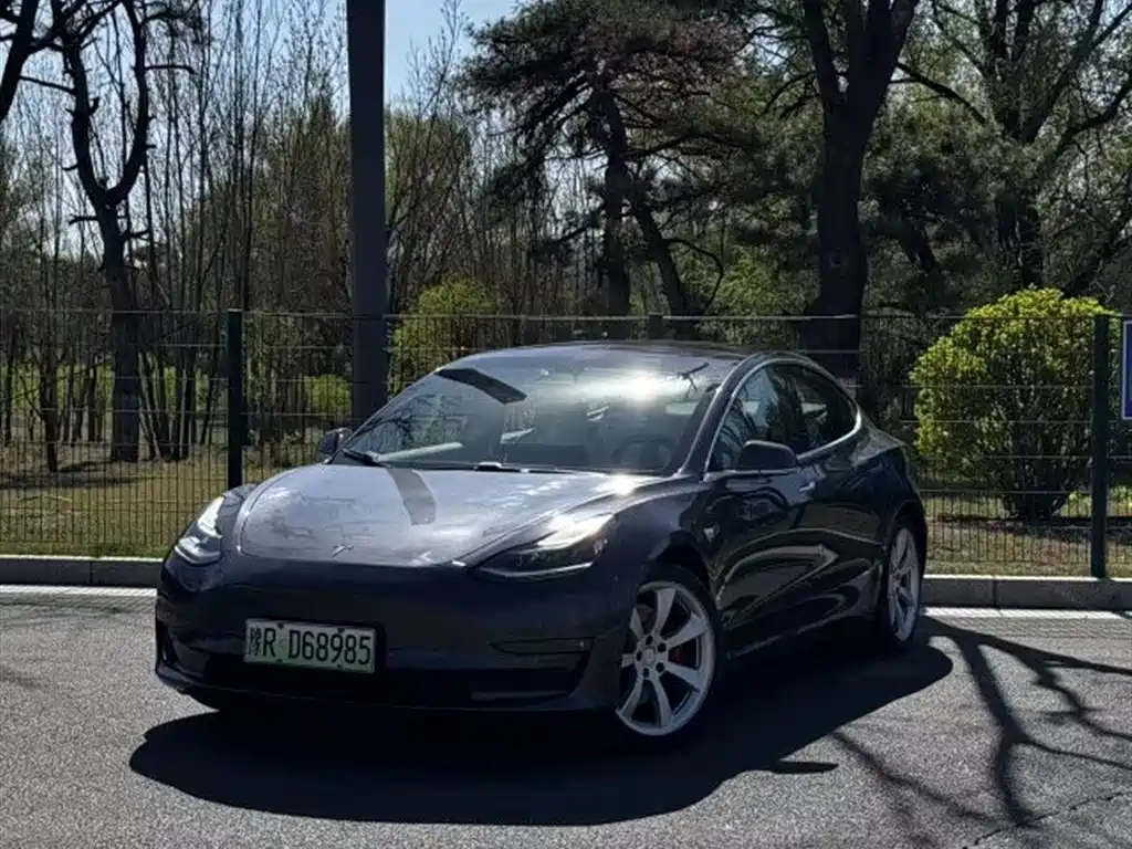 TESLA MODEL 3 (IMPORTED) 2019