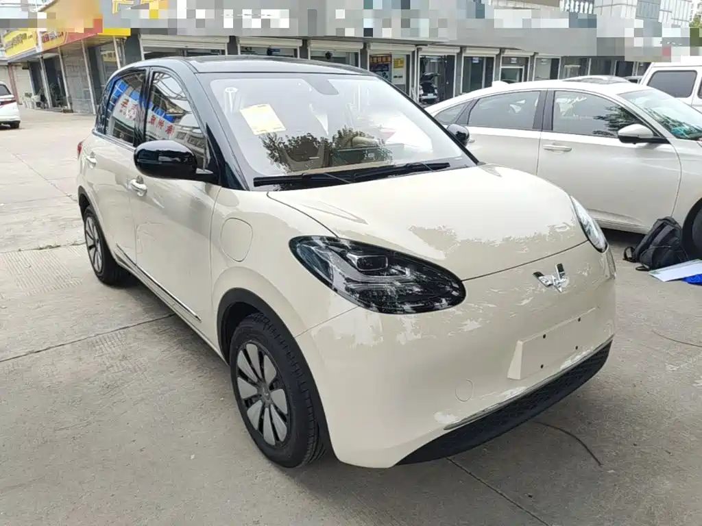 Wuling Motors Wuling Bingo 2026 2025 Model 333km Joy Edition