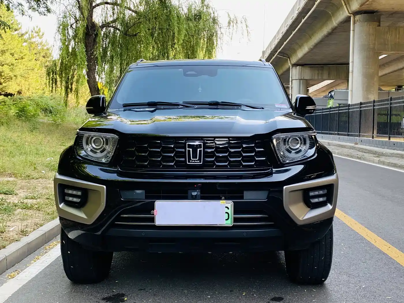 Tank 700 New Energy 2024 Hi4-T Ultimate Edition фото 15