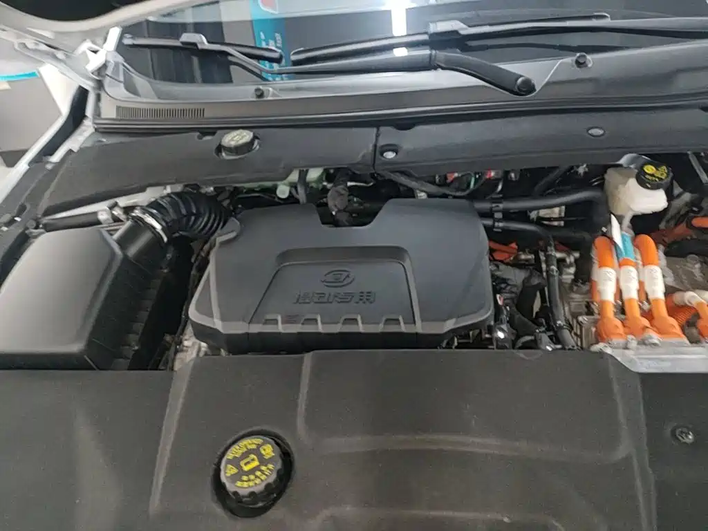 Wuling Motors Wuling Xingguang 2024 2023 150 Advanced Edition