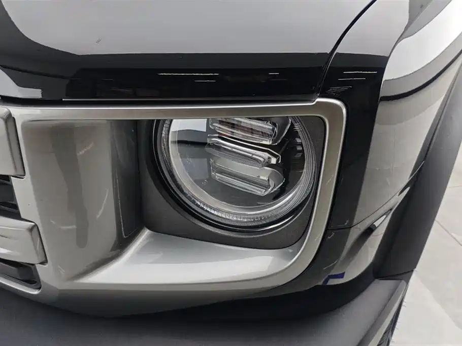 Haval Big Dog 2024 1.5T DCT Border Collie Edition фото 5
