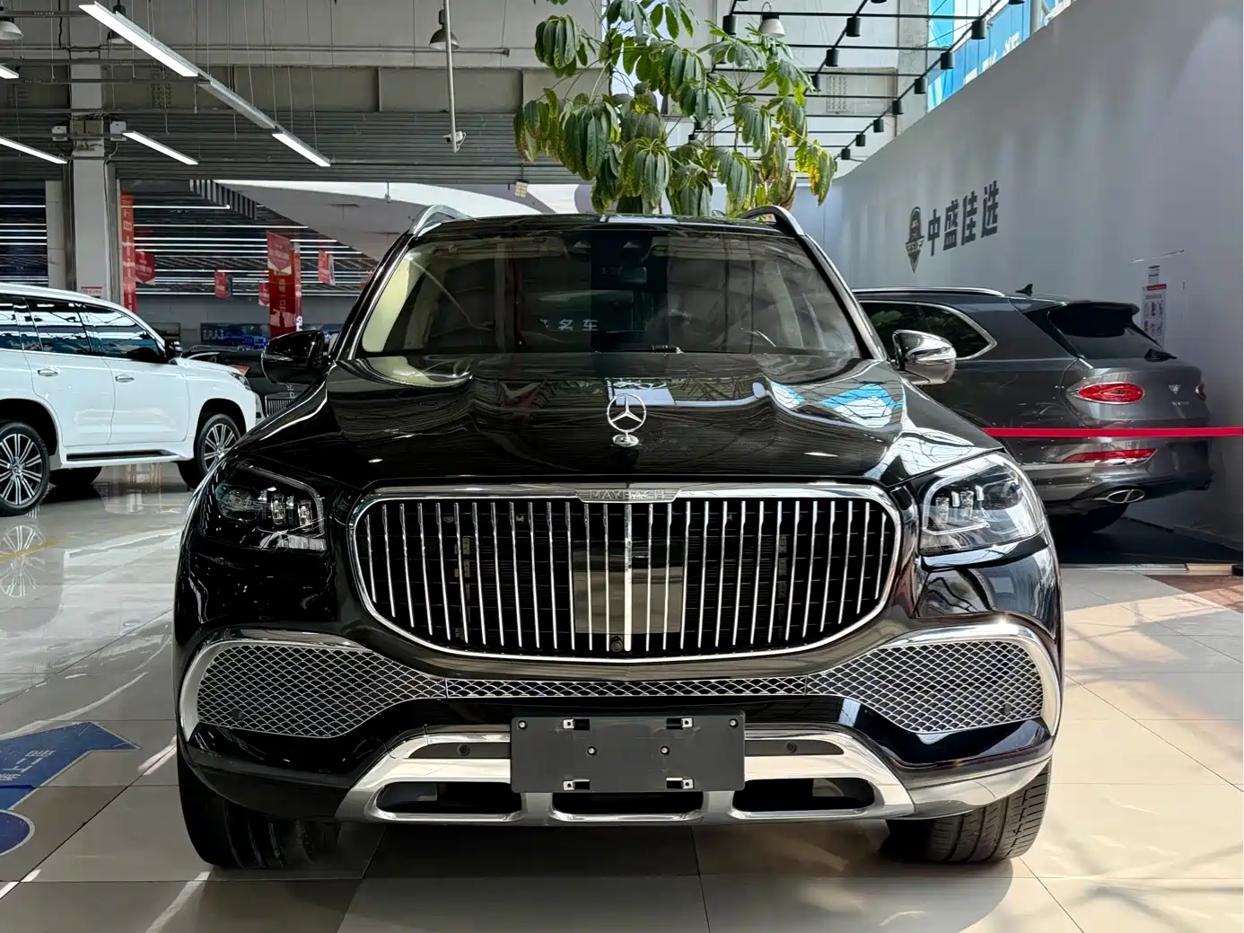 Mercedes-Benz Maybach GLS 2024 GLS 480 4MATIC фото 4