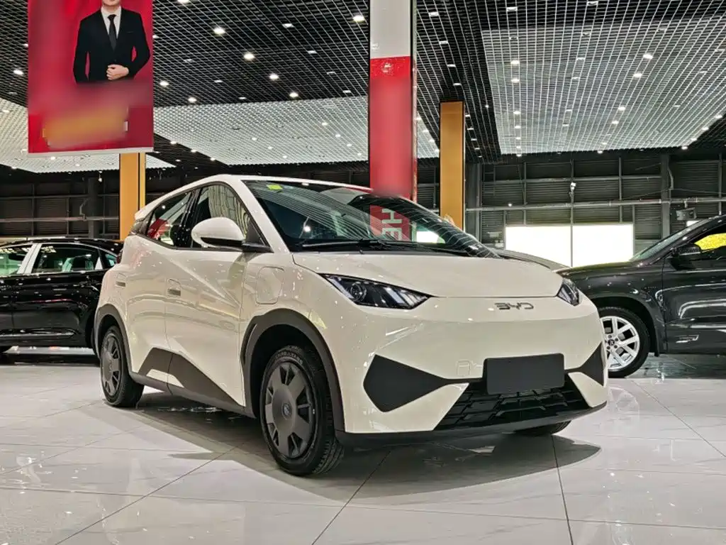 BYD Seagull 2026 2025 Smart Drive Edition 305km Vitality Version