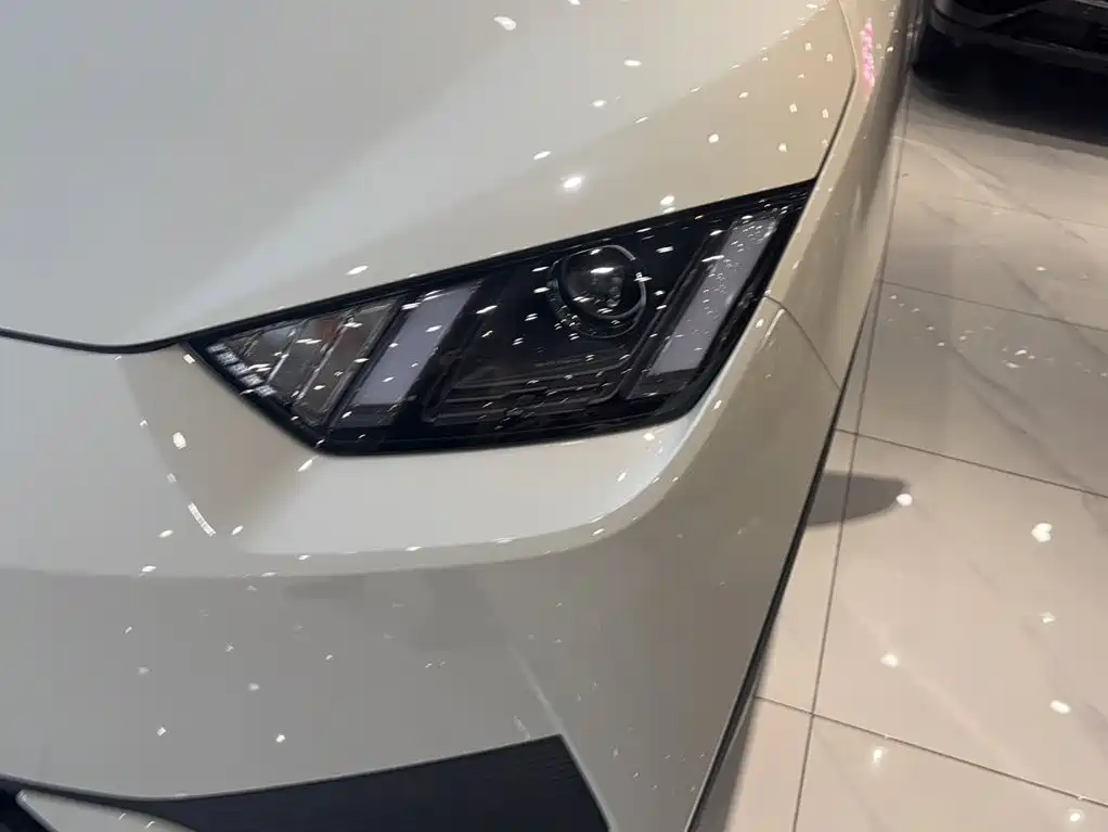 BYD Seagull 2026 2025 Smart Drive Edition 305km Vitality Version