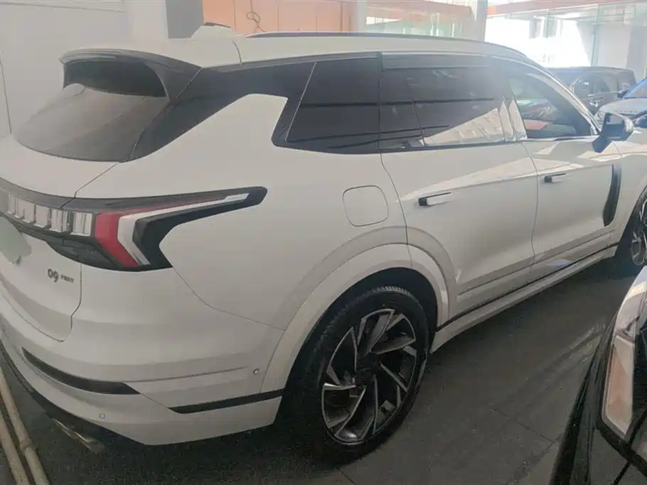 Lynk & Co 09 EM-P 2021 2.0T PHEV Halo 7-Seater фото 3