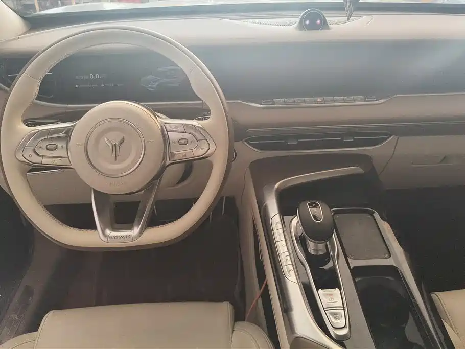 Voyah Auto VOYAH FREE 2021 4WD Extended Range Launch Edition Exclusive Luxury Package фото 12