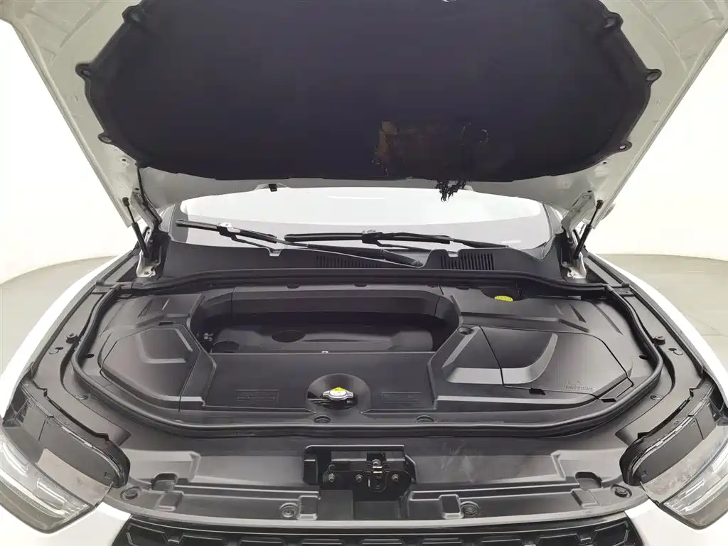 WEI PAI WEI BRAND VV5