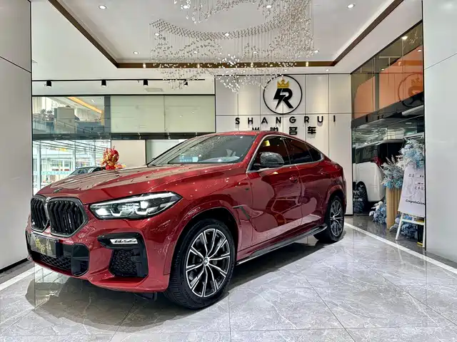 BMW X6 2020 xDrive30i M Sport Package