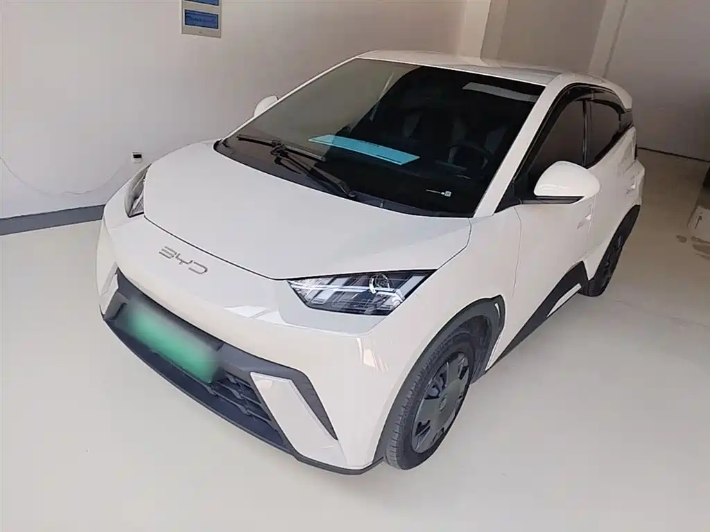 BYD Seagull 2024 Glory Edition 305km Vitality Edition