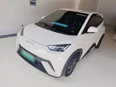 BYD Seagull