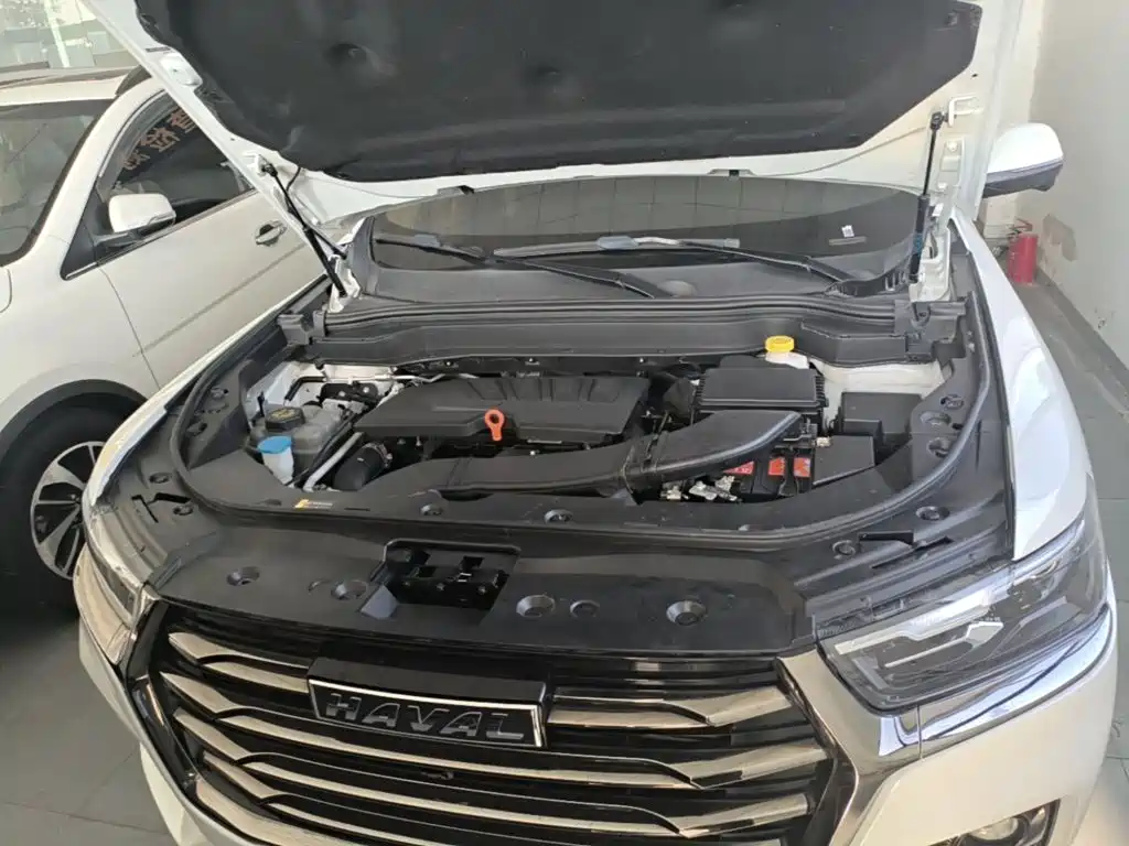 Фото 20 - Haval H6