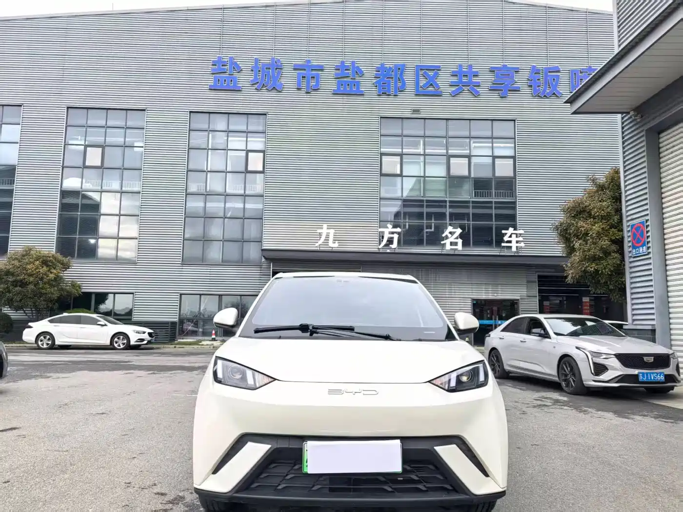 BYD Seagull 2023 Vitality Edition фото 2