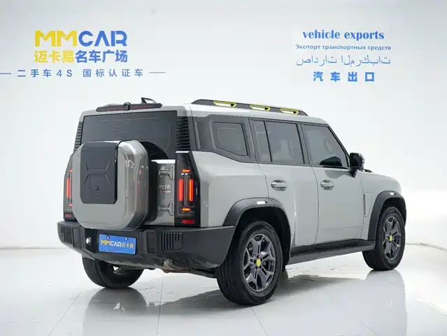 Jetour Traveler 2023 Model 2.0T 4WD Cross PRO — фото 4