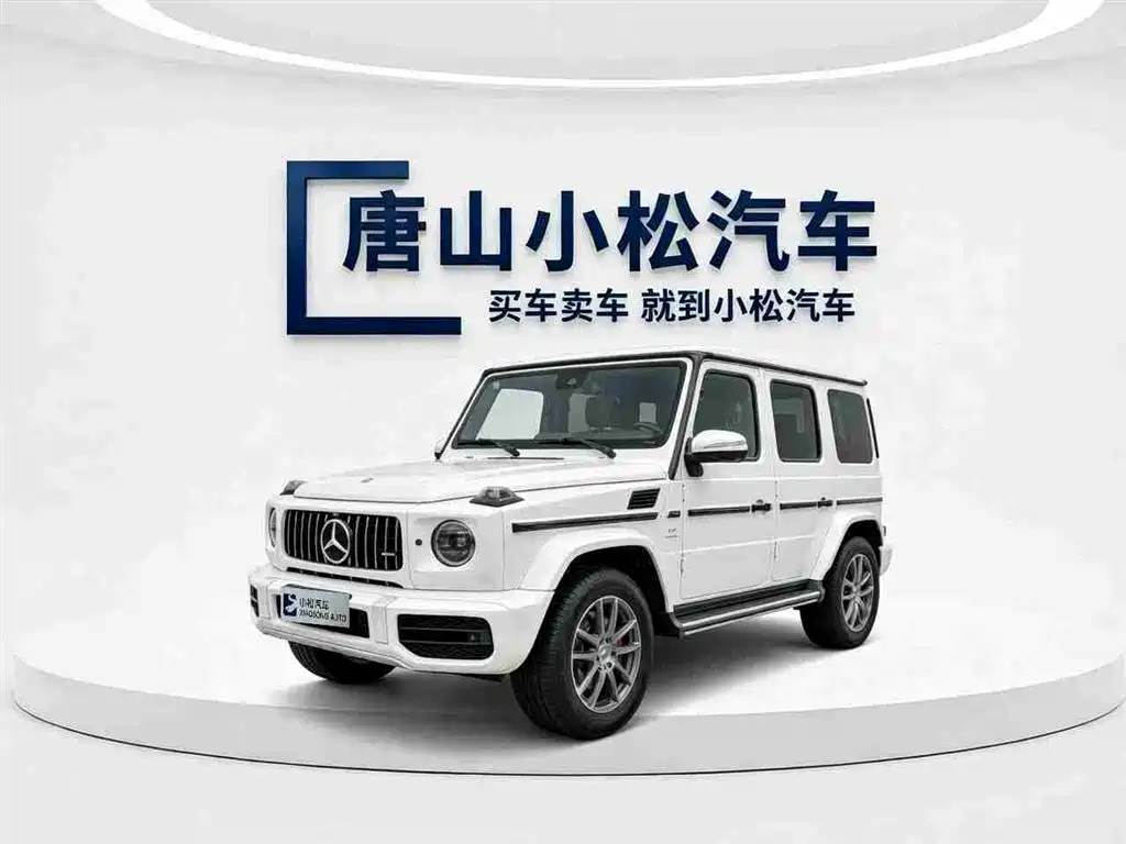 Mercedes-Benz G-Class 2013 G 500
