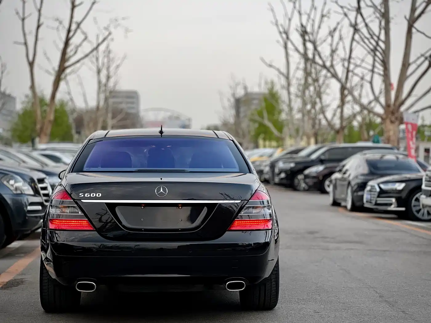 Mercedes-Benz S-Class 2008 Model S 600 L фото 7