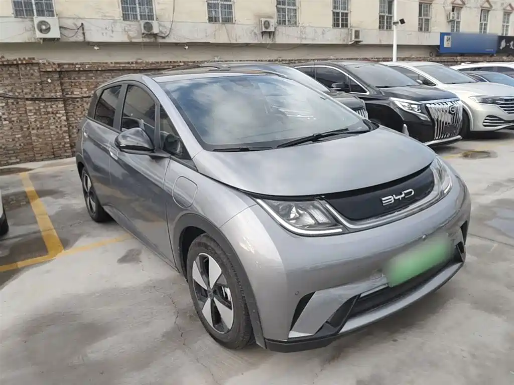 BYD Dolphin 2023 420km Fashion Edition фото 4