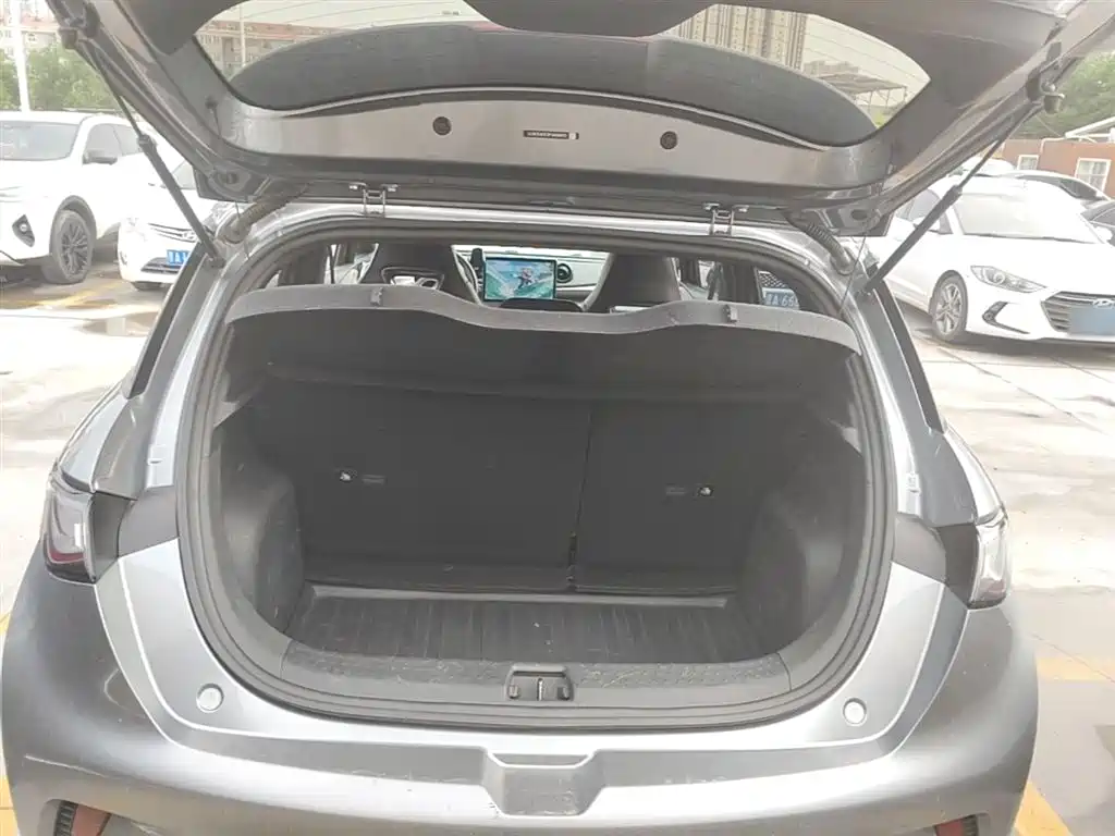 BYD Dolphin 2023 420km Fashion Edition фото 19