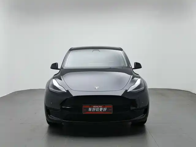 Tesla Model Y 2022 Rear-Wheel Drive Version — фото 3