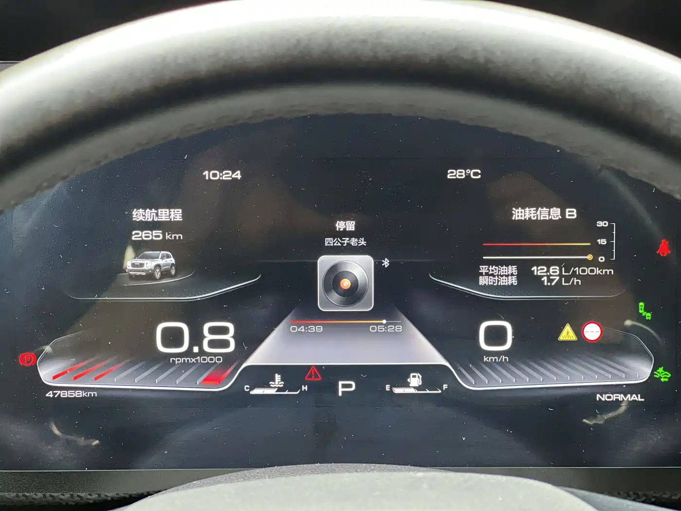 Haval Big Dog 2021 1.5T DCT 2WD Malinois Edition фото 12