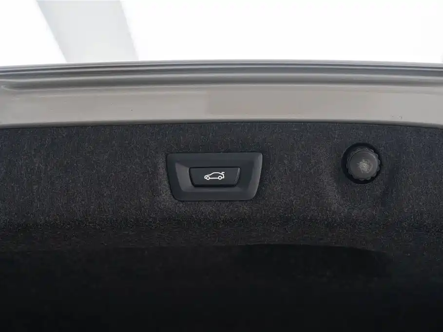 BMW 5 Series 2020 525Li Luxury Package фото 18