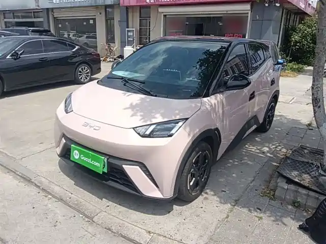 BYD Seagull Слава, 305km, Свобода