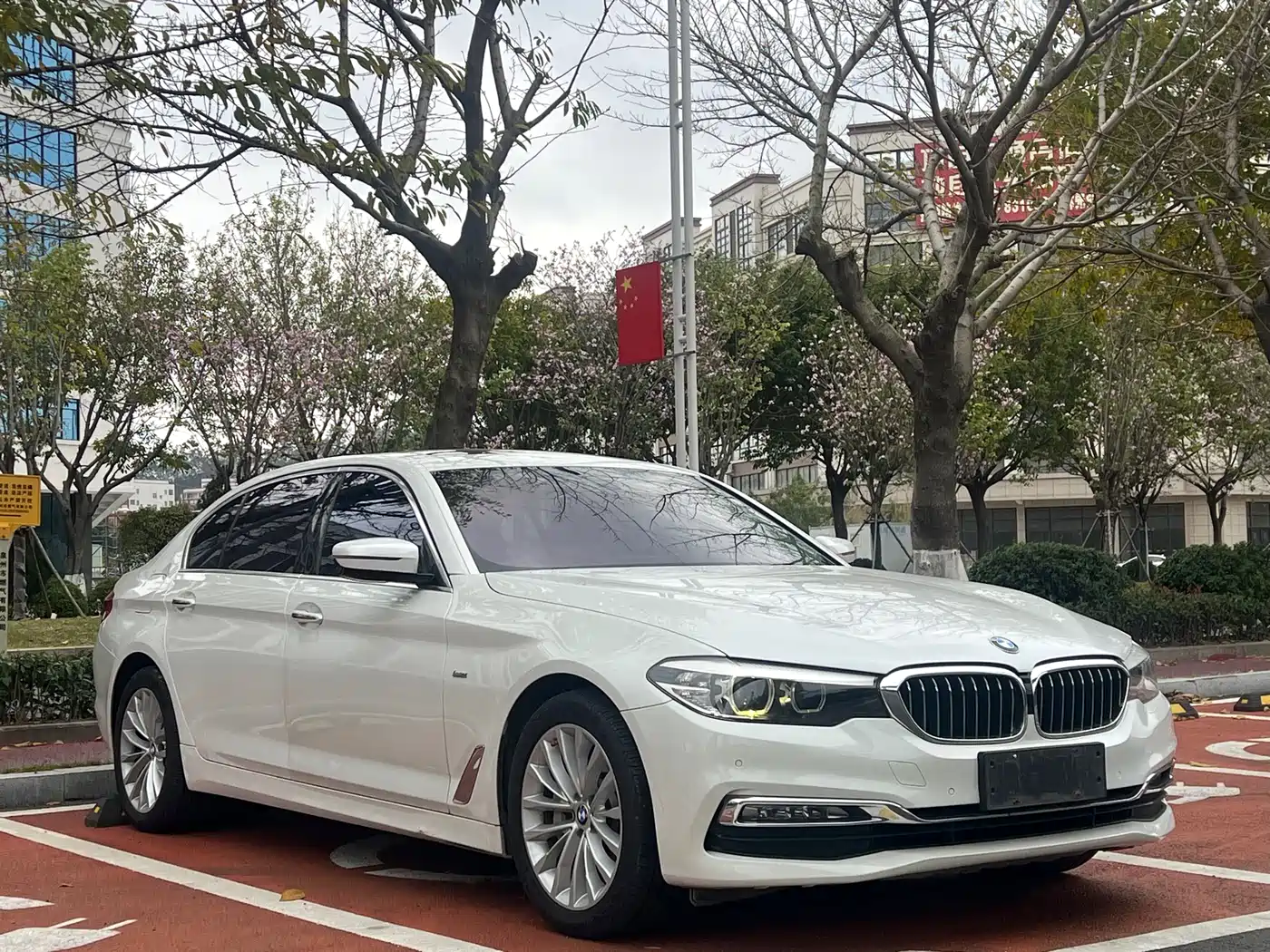 BMW 5 Series 2018 530Li Leading Luxury Package фото 3