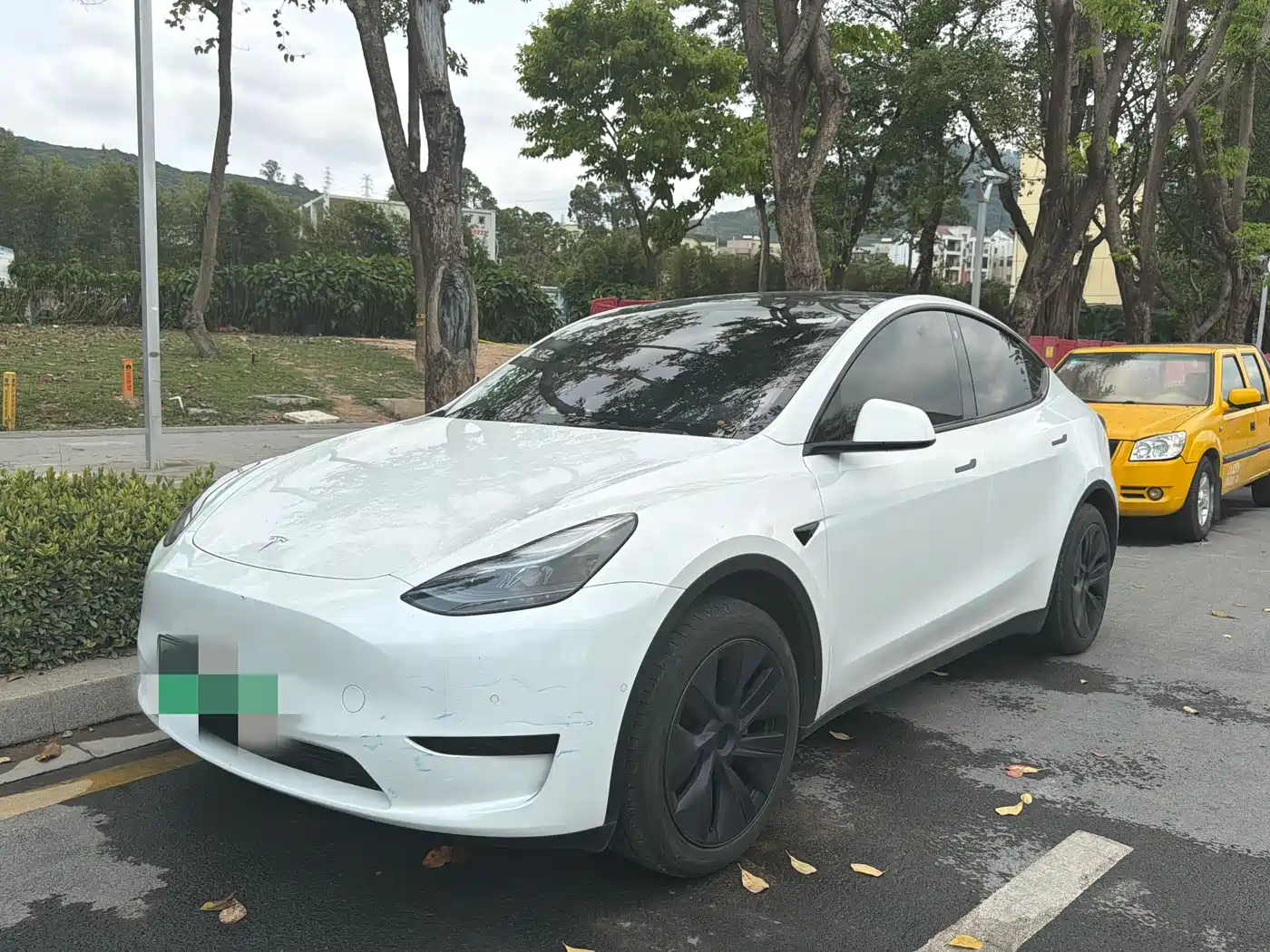 TESLA MODEL Y