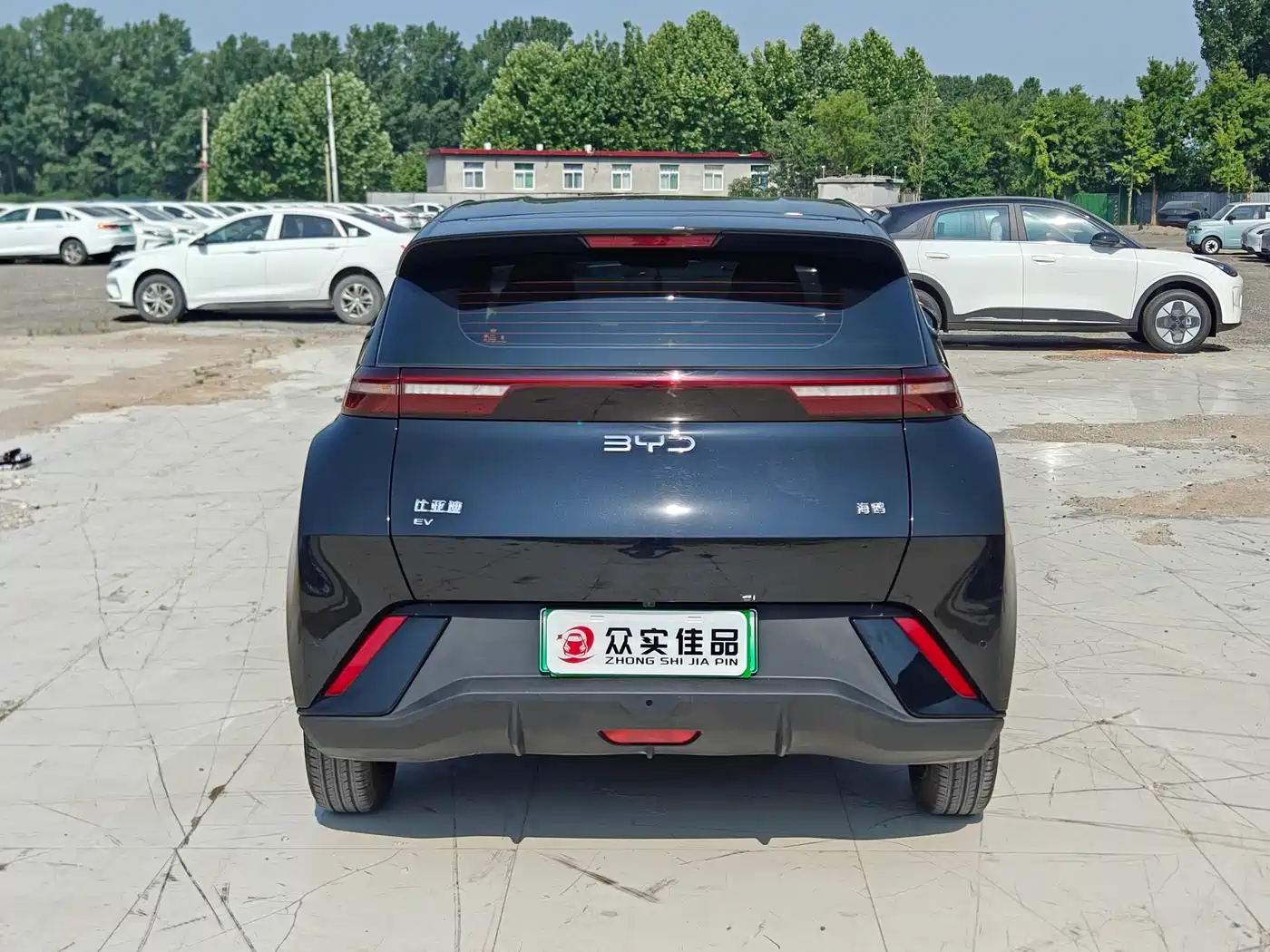 BYD Seagull 2025 305km Vitality фото 8