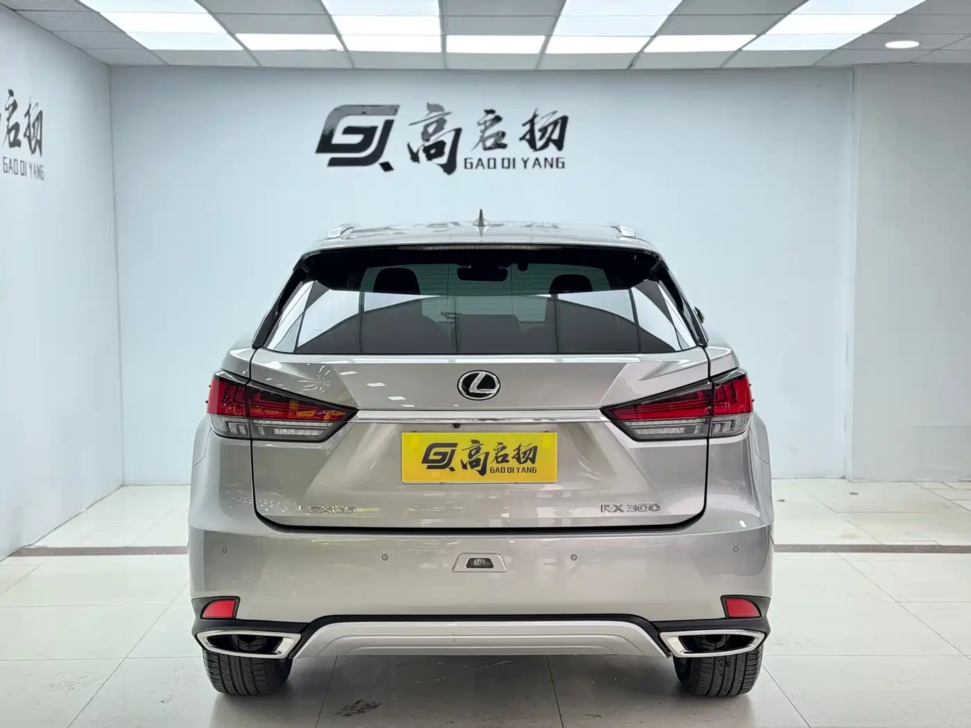 Lexus RX 2020 300 4WD Elegance Edition China VI фото 27