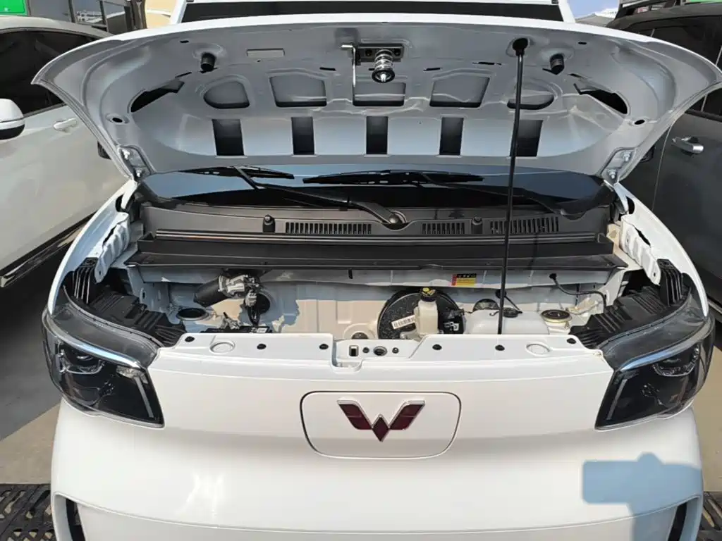 Wuling Motors Wuling Zhiguang NEV 2026 2025 Model 305km Base Version