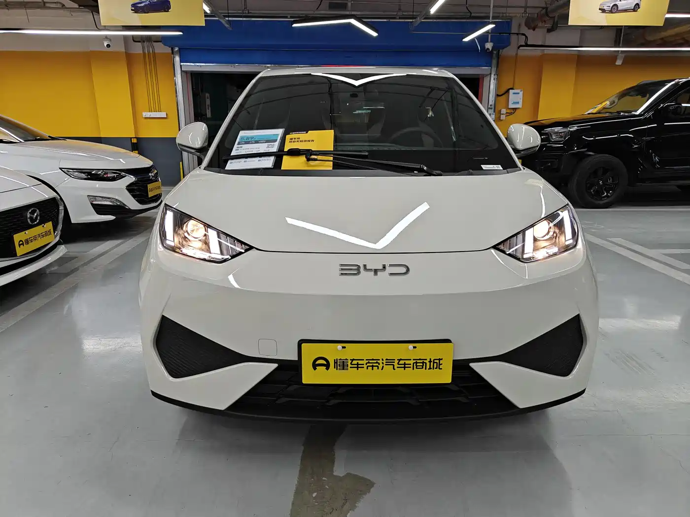 BYD Seagull 2025 Smart Drive Edition 305km Vitality Version