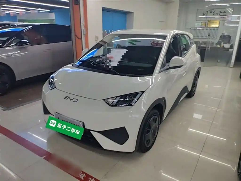 BYD Seagull 2025 Smart Drive Edition 305km Vitality Version фото 2