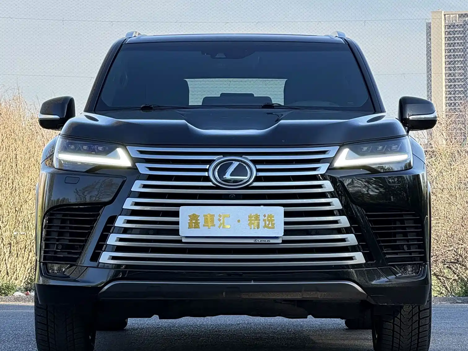 Фото 3 - Lexus LX