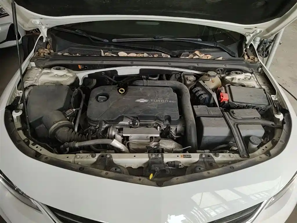 Chevrolet Malibu XL 2018 530T Auto RuiYi Edition фото 20