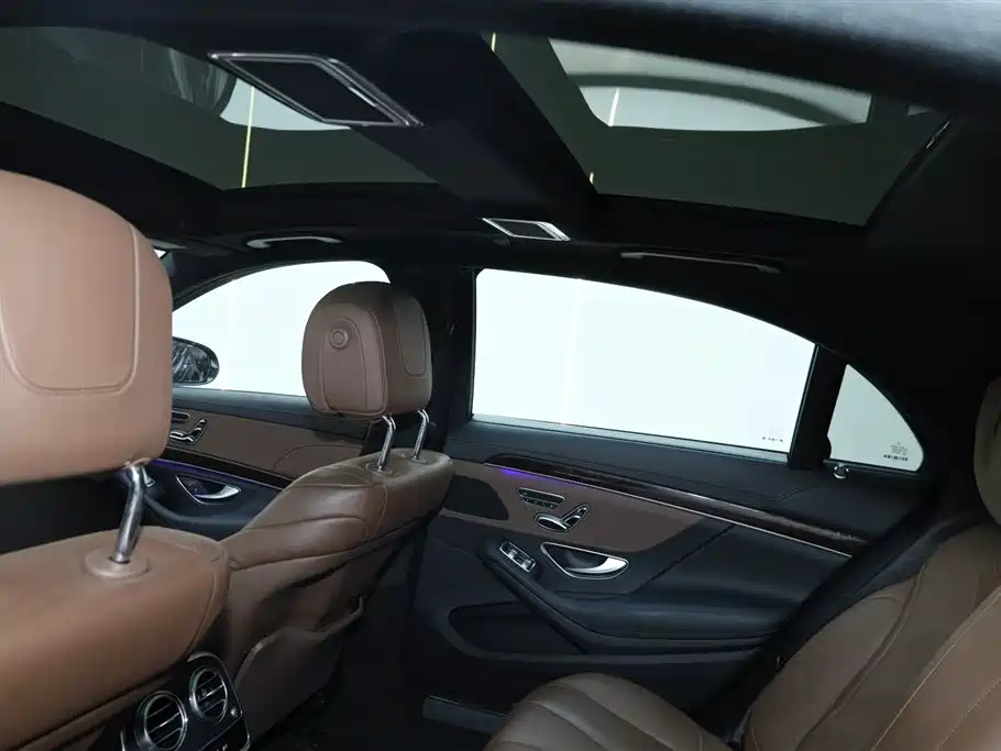 Mercedes-Benz S-Class 2020 S 350 L Business Edition Collector's Version фото 30
