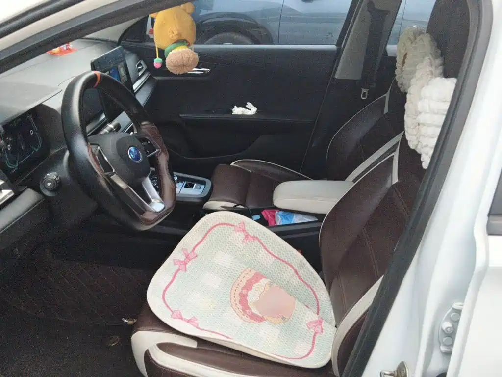 BYD e2 2021 2021 Standard