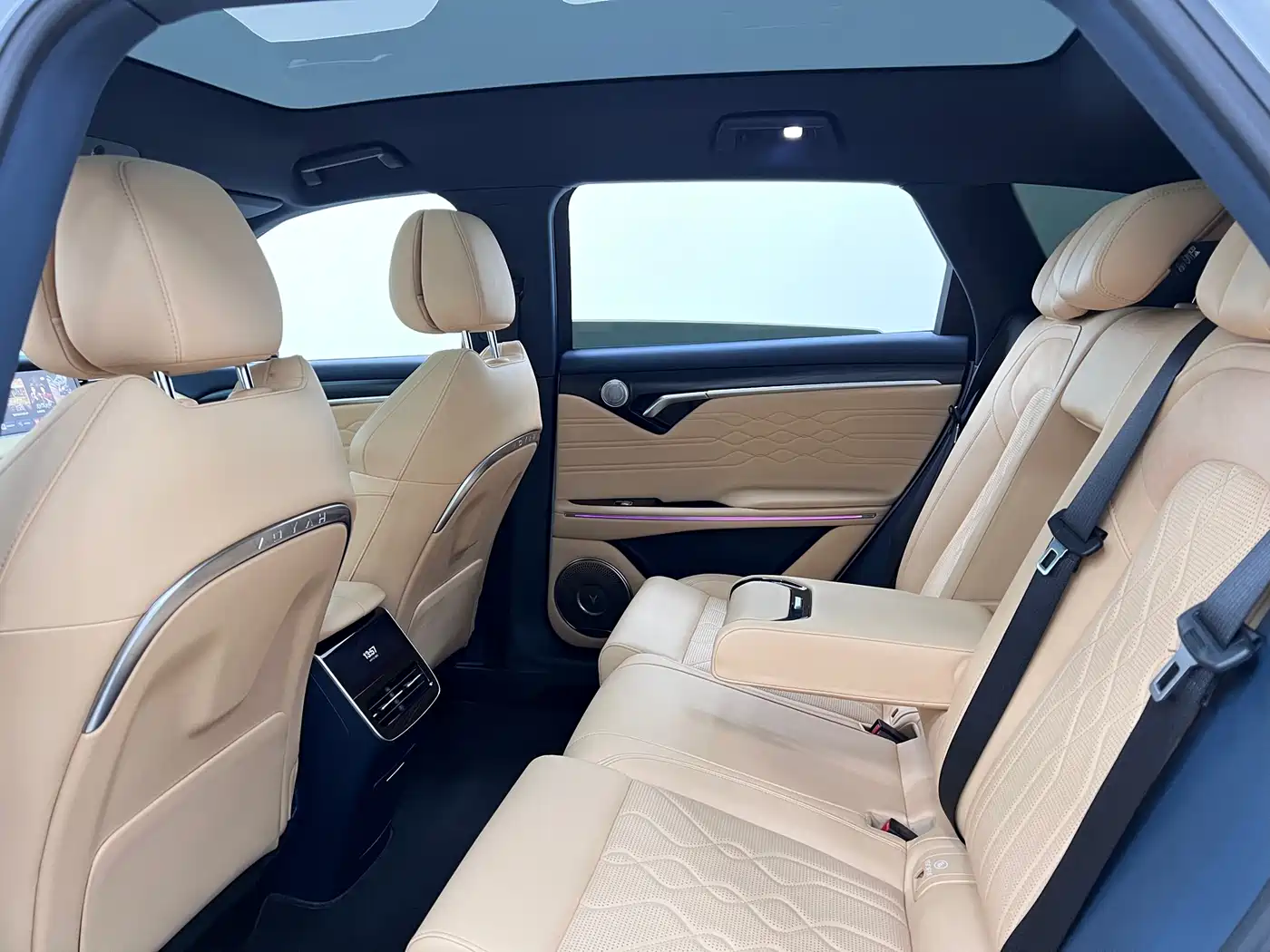 Voyah Auto VOYAH FREE 2023 4WD Extended Range Edition фото 17