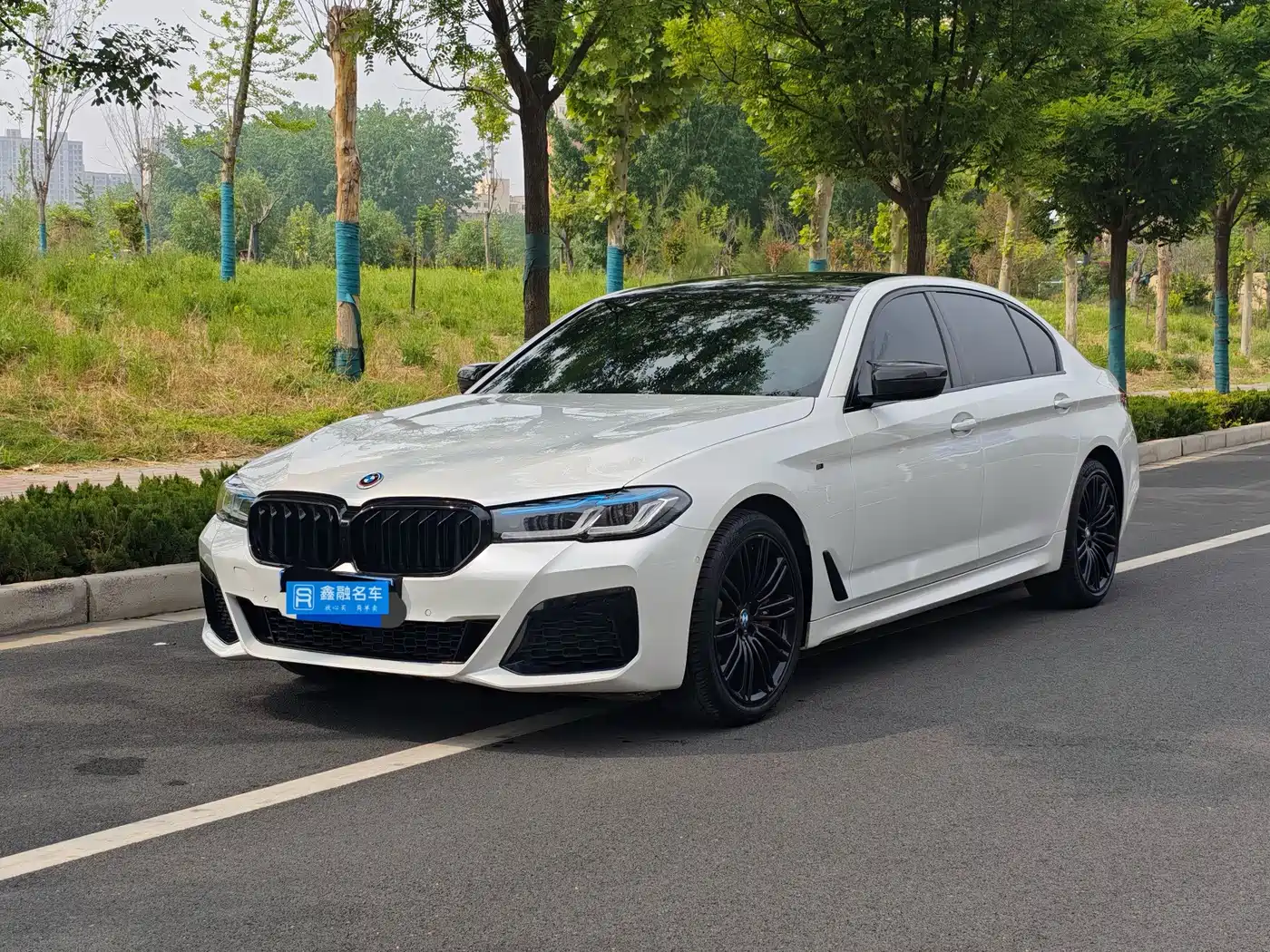 BMW 5 Series 2019 530Li Leading M Sport Package
