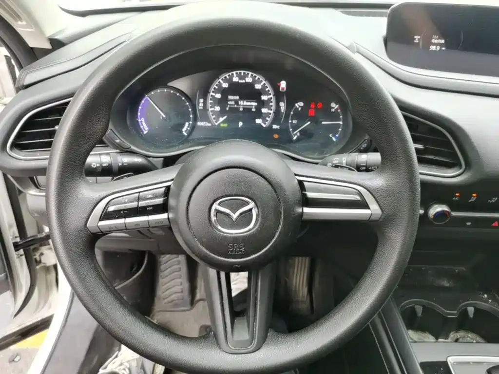 Mazda CX-30 EV 2023 2021 Pure Electric Enjoyment Edition