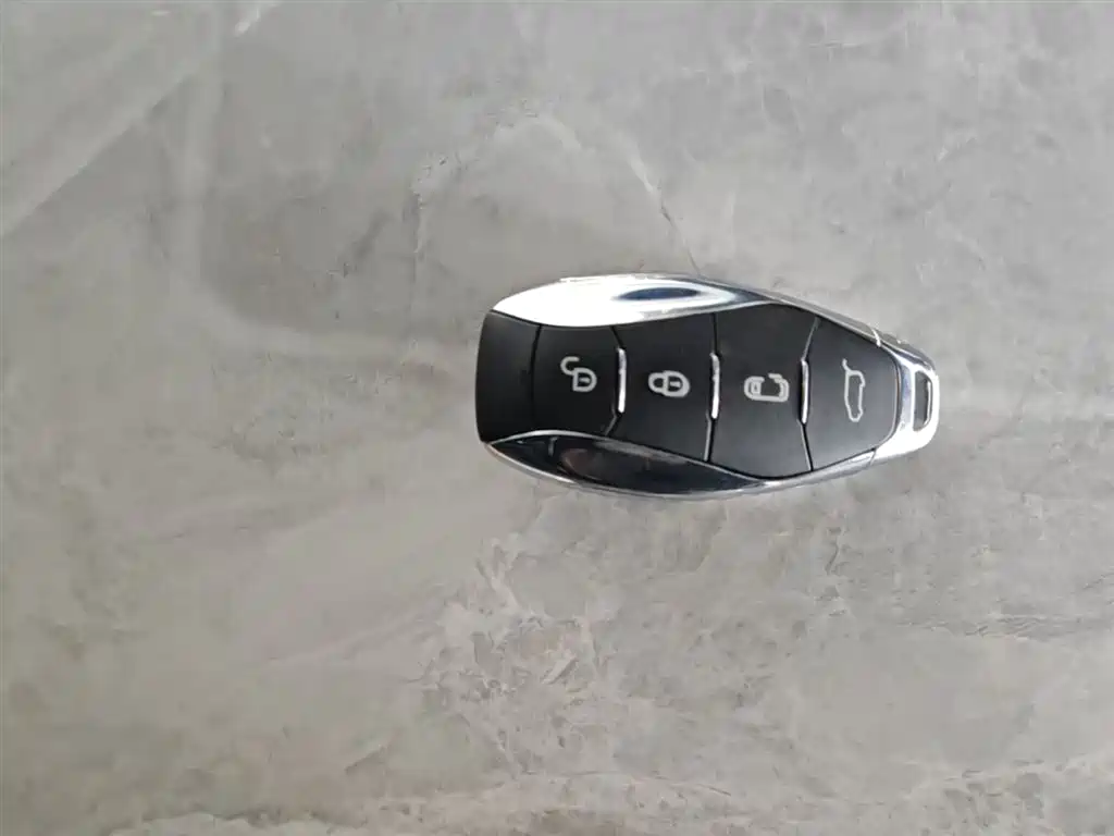 Hongqi HQ9 PHEV 2024 Model 2.0T AWD Luxury Edition фото 9