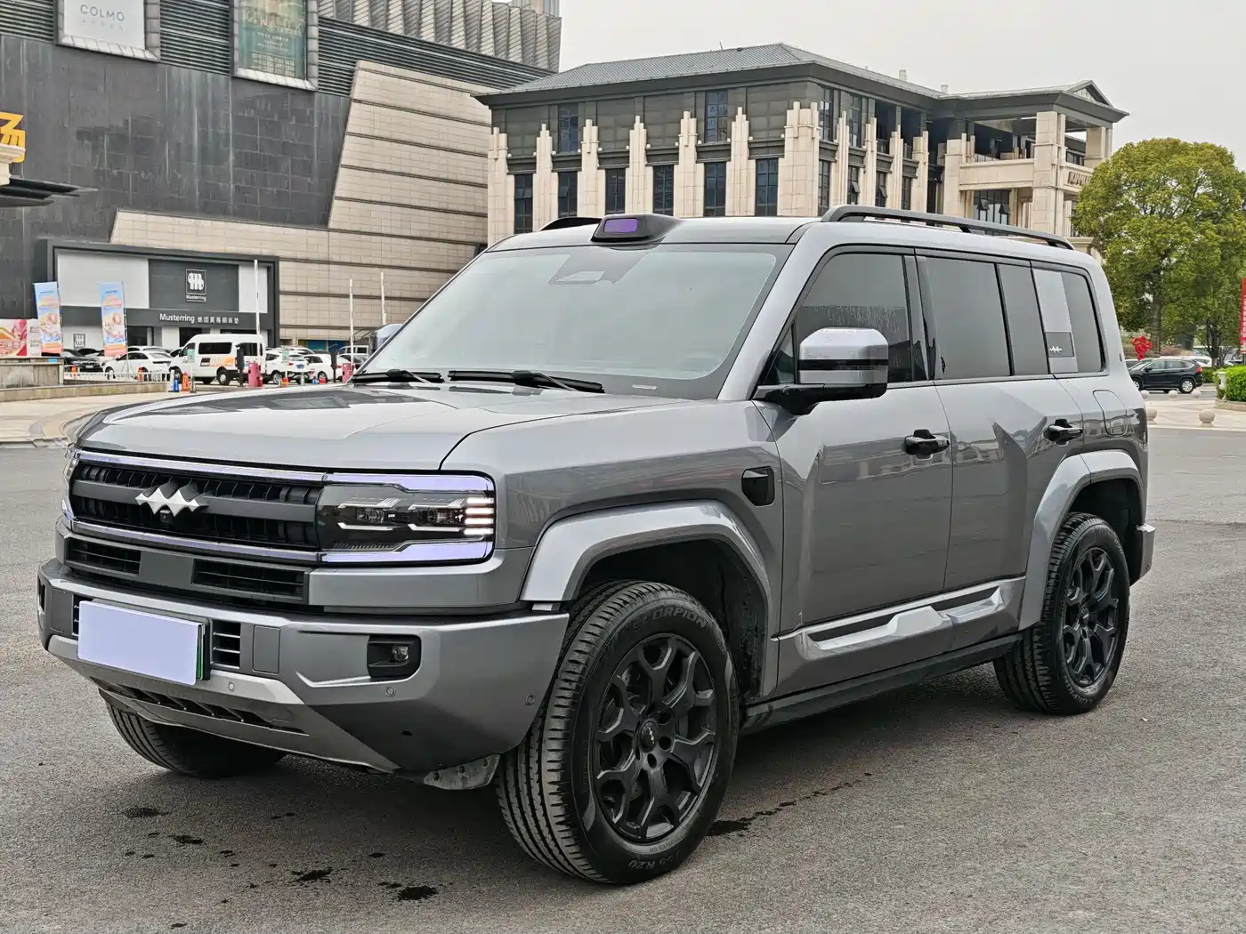 FANG CHENG BAO LEOPARD 5