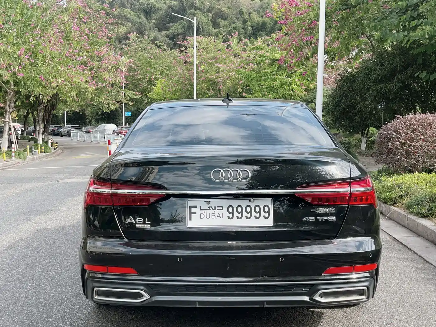 Audi A6L 2019 45 TFSI Premium Dynamic фото 9