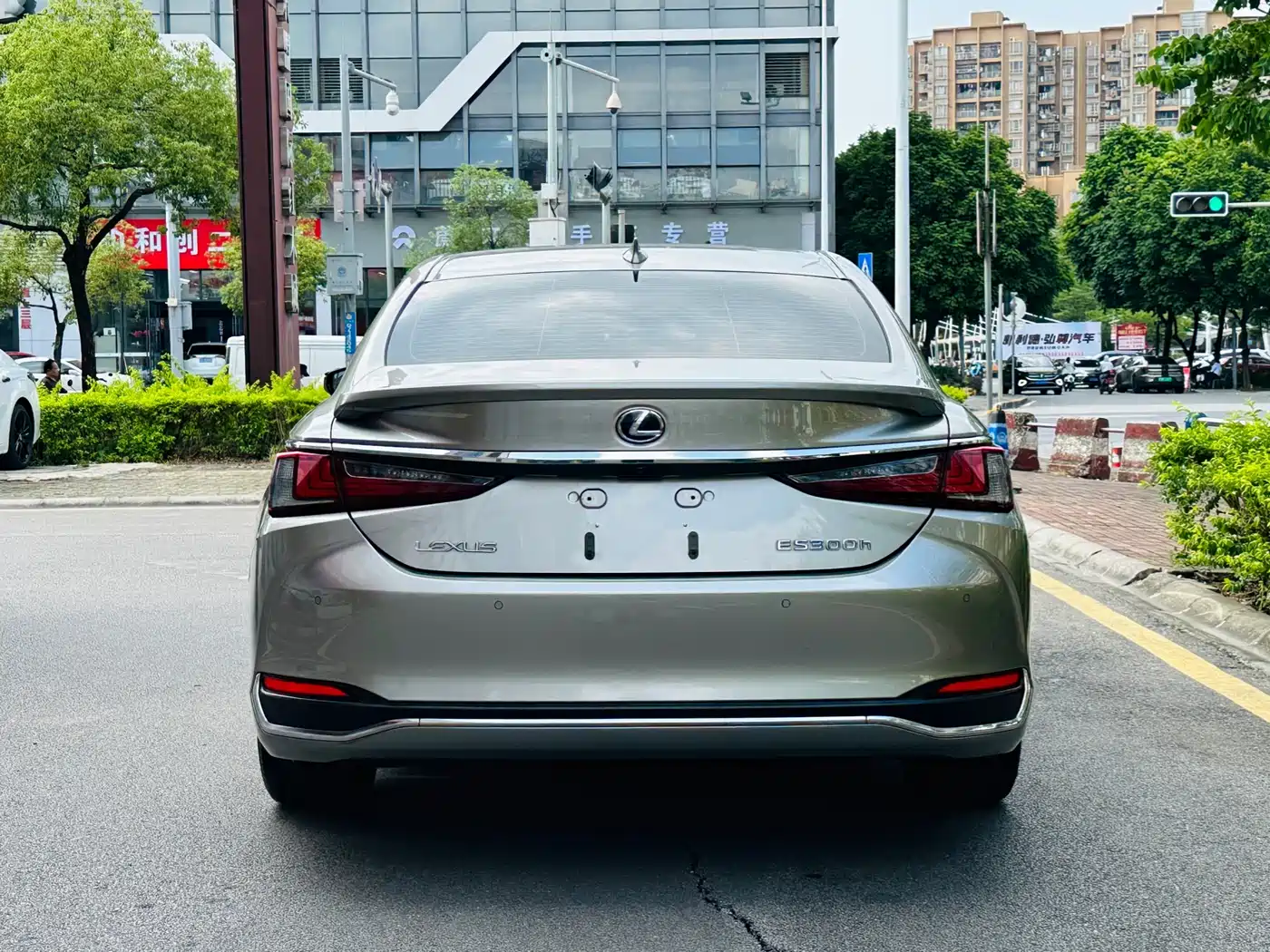 Lexus ES 2021 300h Luxury Edition фото 5