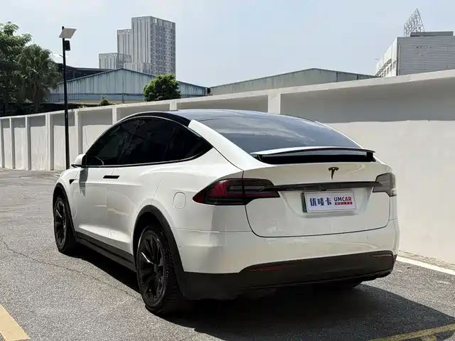 Tesla Model X 2017 Model X 100D Long Range — фото 4
