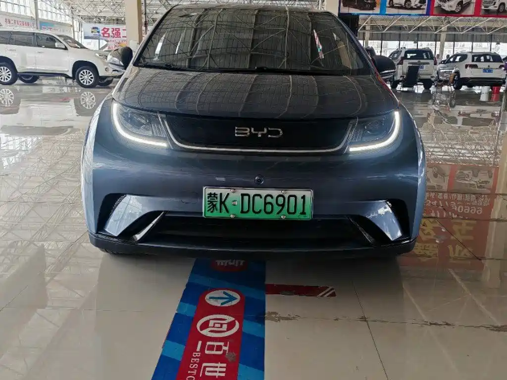BYD Dolphin 2024