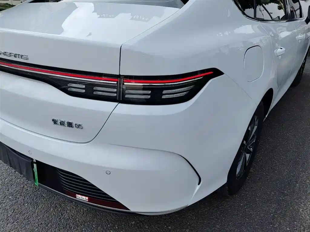 BYD Destroyer 05 2024 Glory Edition DM-i 55KM Luxury фото 8