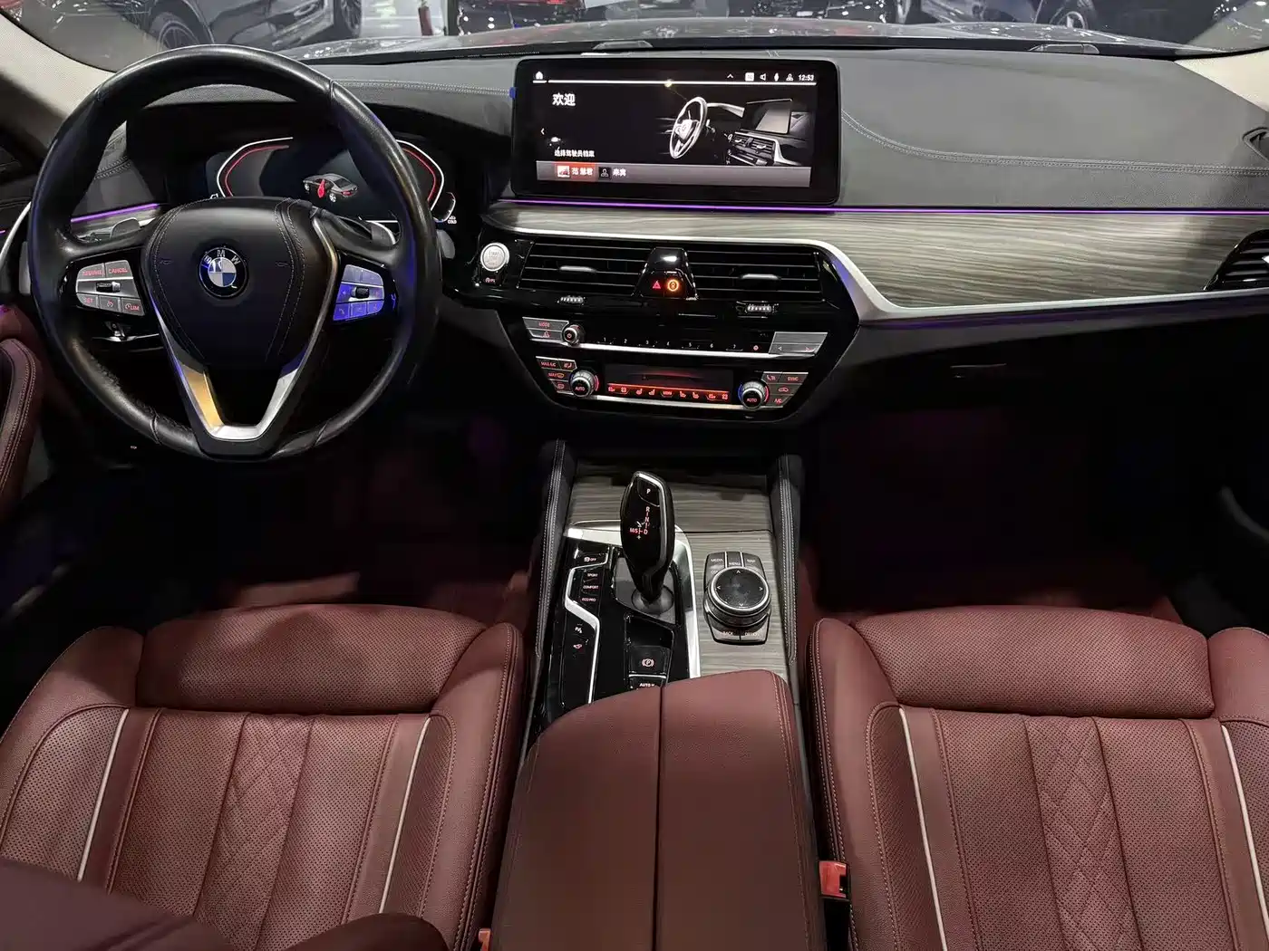 BMW 5 Series 2022 530Li Exclusive Luxury Package фото 6